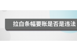 枝江为什么选择专业追讨公司来处理您的债务纠纷？